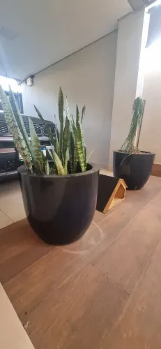 Vasos para plantas total 7 ( não entrego) 200 cada