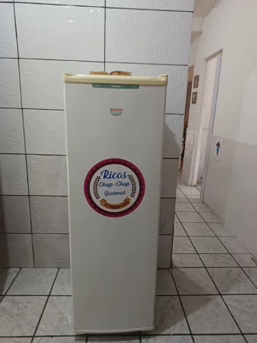 Freezer vertical consul