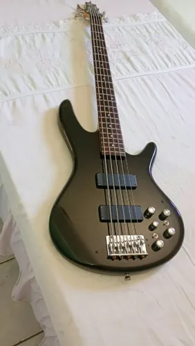 Vendo ou troco contrabaixo ibanez 5c