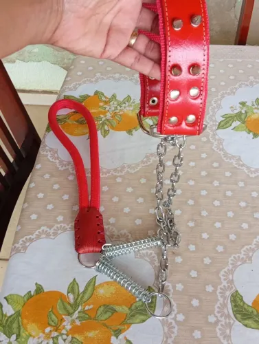 COLEIRA PARA CACHORRO