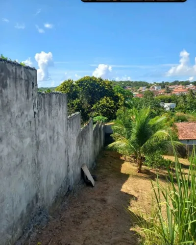 VENDO TERRENO NA ILHA----LEIA
