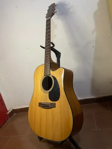 Violão Takamine G Series EG320C
