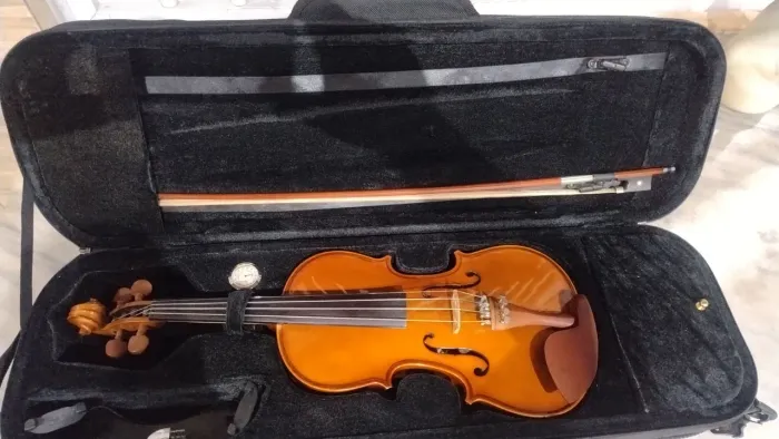 Violino
