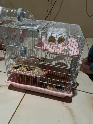 Gaiola Hamster
