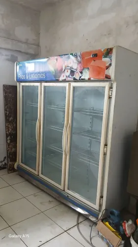 Frizer vertical 3 porta