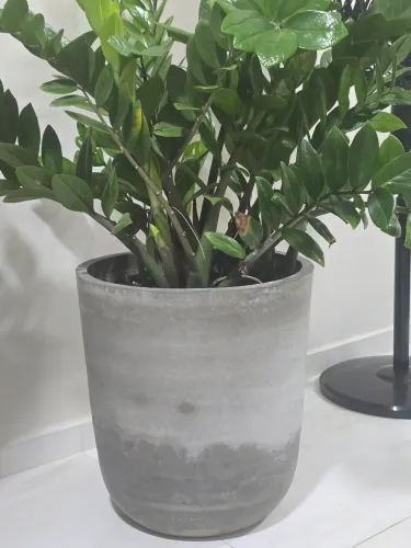 Vaso para plantas 