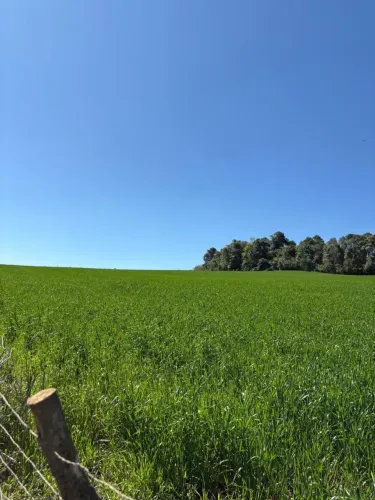 Terra à venda em Zortea SC | 24 hectares