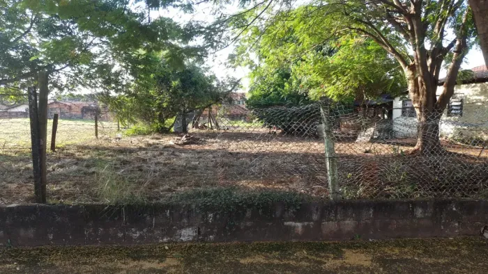 Ótimo terreno 784m2, plano, com infrastrutura, rua asfaltada - Centro - Luiz Antonio - SP