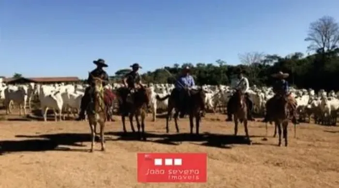 Fazenda para Venda em Rondolândia, 20 dormitórios, 15 banheiros