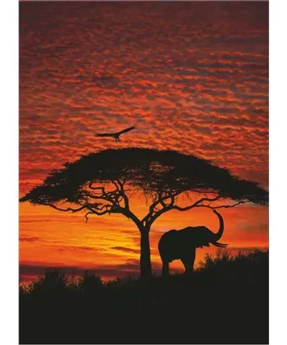 Papel de parede Komar African Sunset 4-501 194x270cm