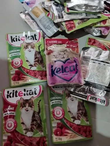 Sachê para Gatos