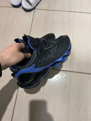 Mizuno prophecy 12