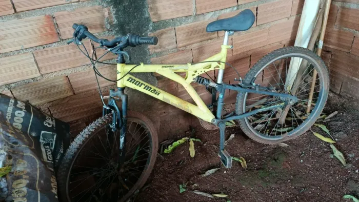 Bicicleta mormaii
