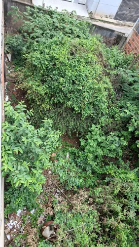 Lote plano 256m²
