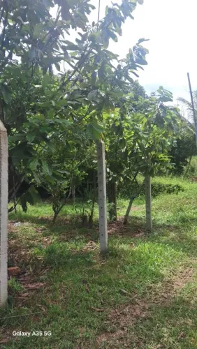 Vendo um terreno no KM 07 Iranduba (Serra abaixa)