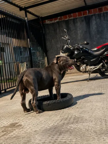 DISPONÍVEL PRA COBERTURA 