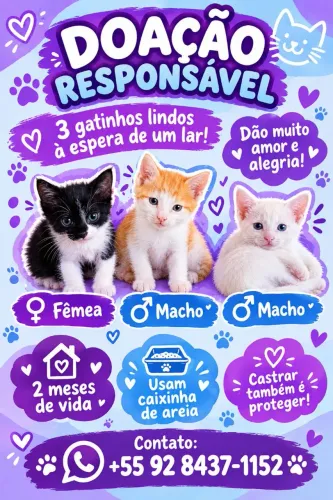 Doação 