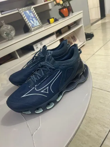 Mizuno prophecy 14 