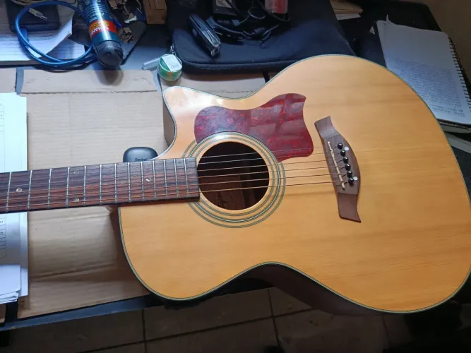 Violão Tagima
