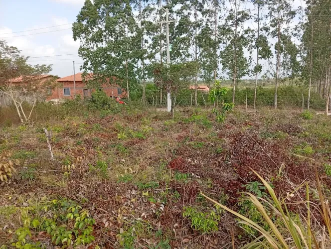 Terreno 25m quadrado planu