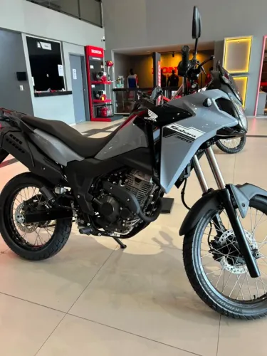 Sahara 300 standard