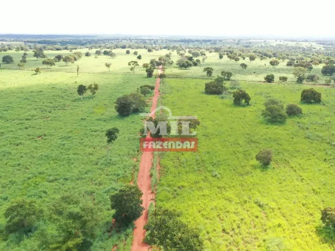 Fazenda de 245 alqueires (1184 hectares) em Araguapaz GO