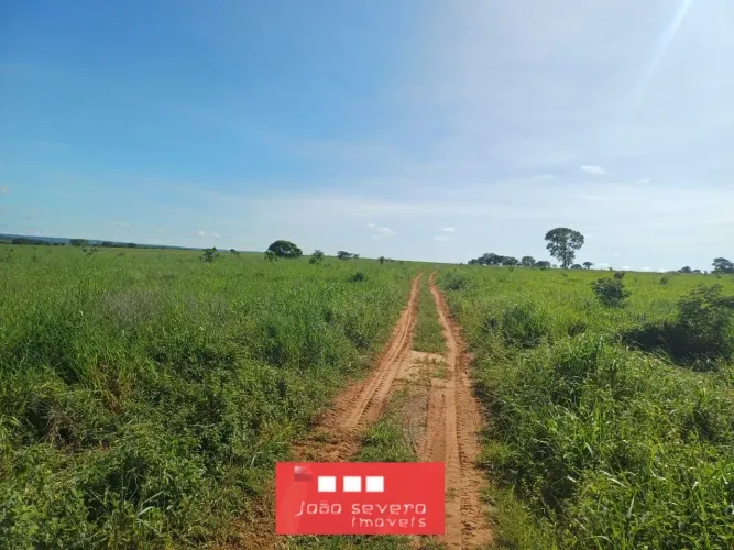 Fazenda para Venda em Tesouro