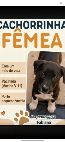 DOAÇÃO