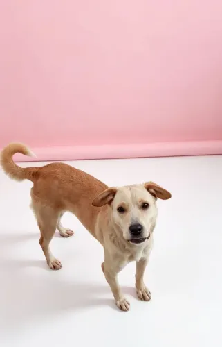 Doação 