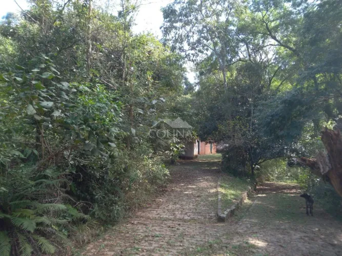 Sítio a venda na Estrada dos Cristais em Campo Limpo Paulista - SP.