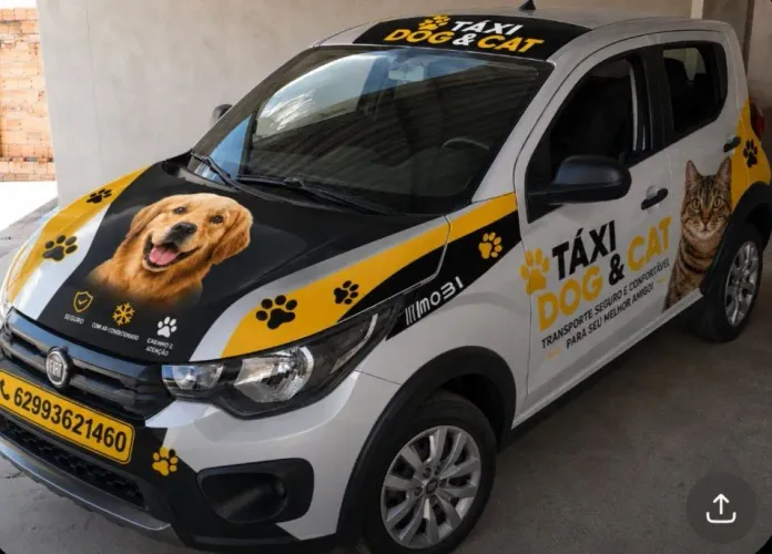 Táxi Dog e Cat com conforto e segurança 