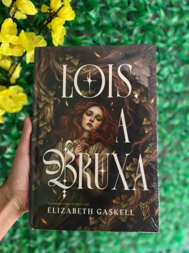 Livro Lois, A Bruxa + 2 cards do livro ( Darkside)