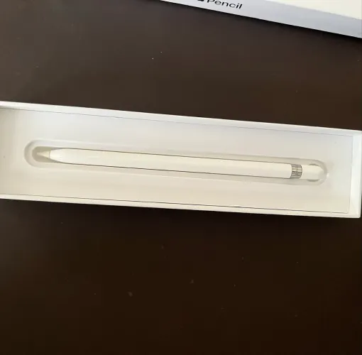 Apple Pencil 1ª Geração (Na Caixa + Acessórios) + Caneta WB de Brinde
