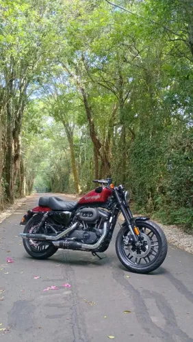 Harley Davidson roadster 1200cc