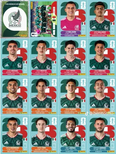PDF ALBUM DA COPA COMPLETO !! E COM LEGEND