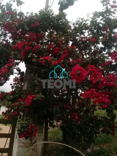 Sítio com 7 dormitórios à venda, 163350 m² por R$ 1.500.000,00 - Igaratá - Igaratá/SP REF: