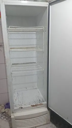 Freezer vertical 311L