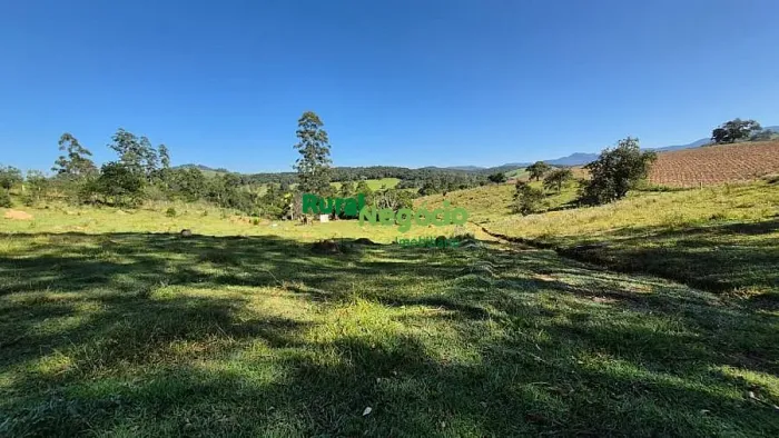 SÍTIO FORMADO PRÓXIMO DO ASFALTO À VENDA EM LAGOINHA-SP
