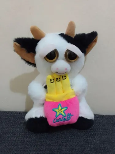 Feisty vaquinha