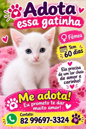 Lindo filhote para adoção