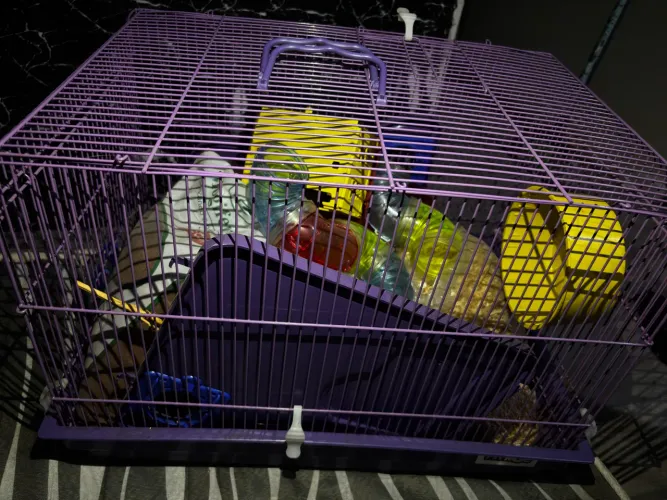 Gaiola de hamster