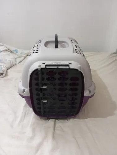 Caixa transporte pet