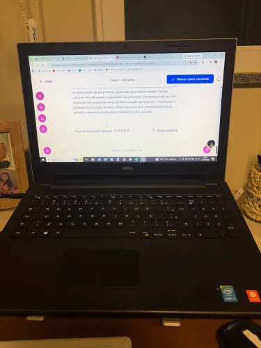 Notebook Dell