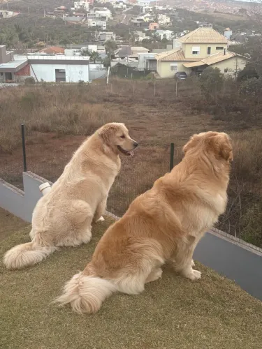 DOAÇÃO RESPONSÁVEL - *