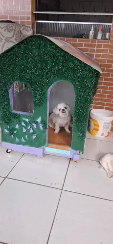 Vende-se casinha para pets