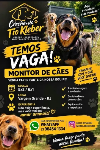 Vaga para monitor de cães