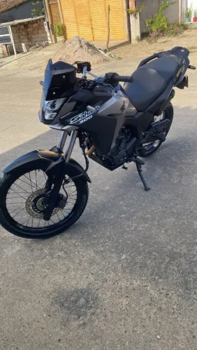Shaara nova 2024