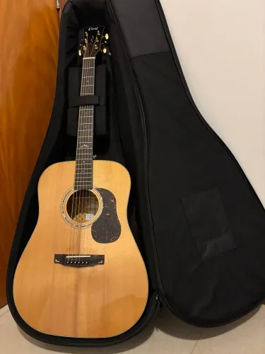 Cort Gold D6