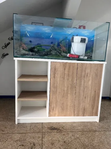 Aquário