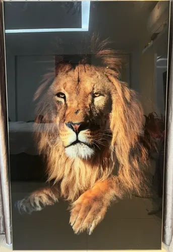 Quadro leão 
